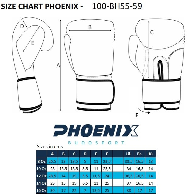 PX PX Boxhandschuhe schwarz-weiß Leder 12 Oz