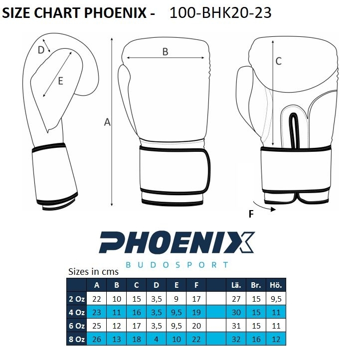 PX Kids Glove Boxhandschuh s/w 4oz