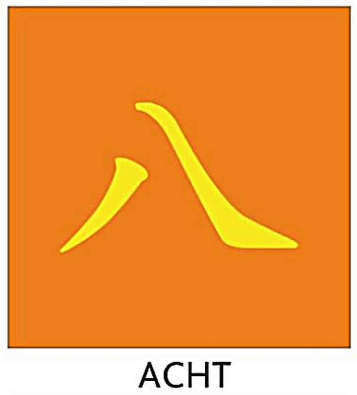 Kung Fu Schärpe Orange mit Chinesischer Bestickung ACHT