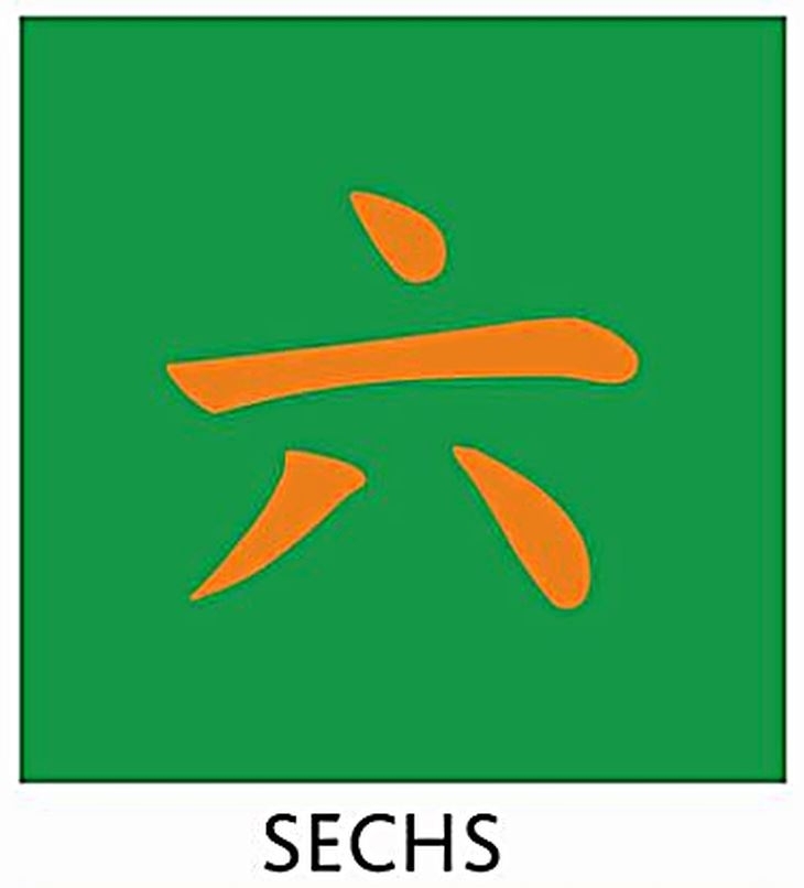 Kung Fu Schärpe Grün mit Chinesischer Bestickung SECHS