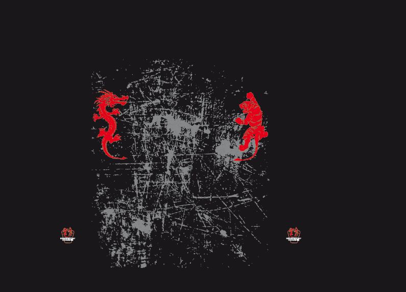 Stretch-Kickboxhosen "Kampfsport-Akademie" XXL (200)