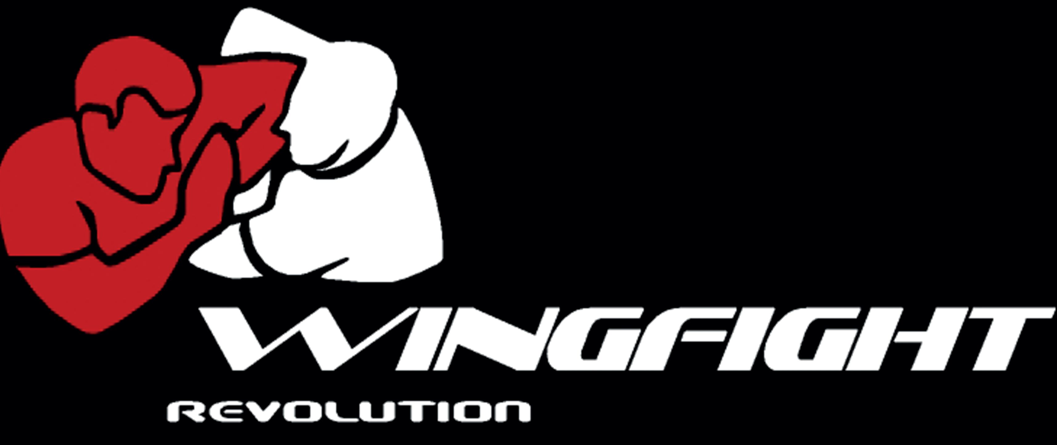 "Wingfight" Bestickung Oberschenkel