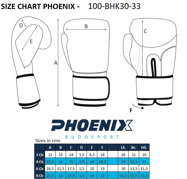 PX Kids Glove Boxhandschuh p/w 8oz PX Kids Glove Boxhandschuh p/w 8oz