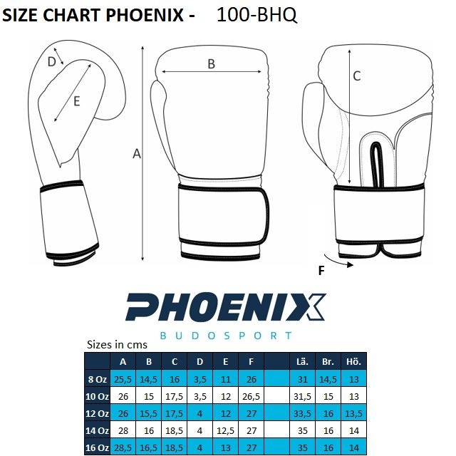 PX Boxhandschuhe CONTEST Leder schwarz 12oz