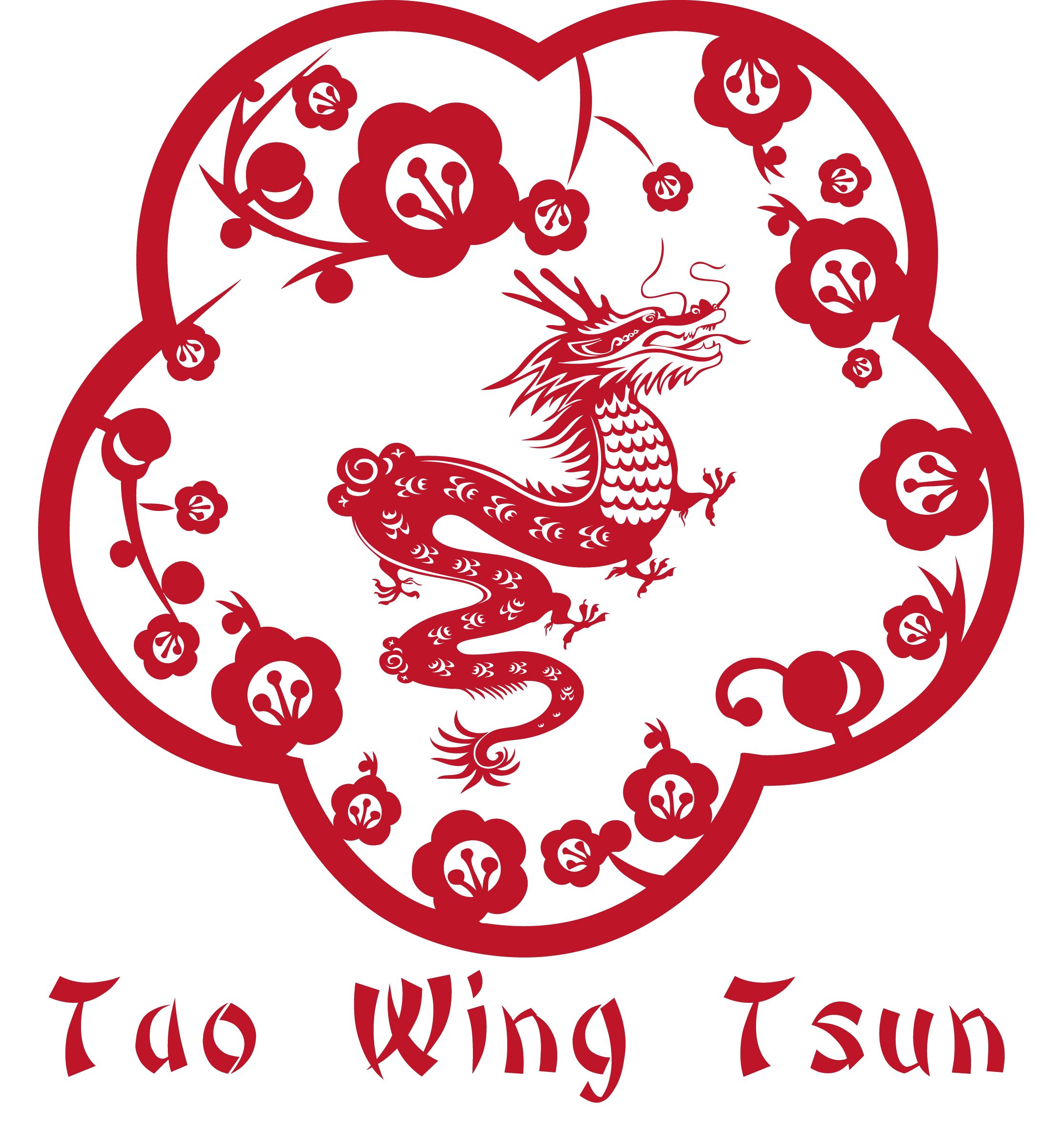 Bestickung: "TAO WING TSUN - Drache" Bestickung: "TAO WING TSUN - Drache"