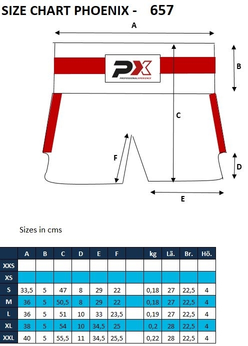 PX LEGACY MMA Shorts schwarz L