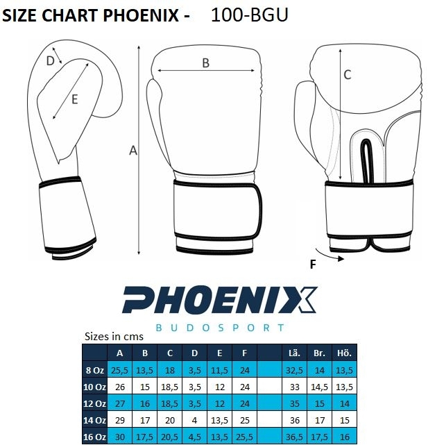 PX Boxhandschuhe schwarz-grau Leder 10oz