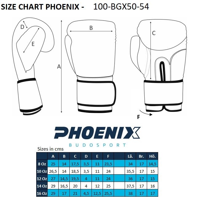 PX Boxhandschuhe schwarz-rot Leder 12oz